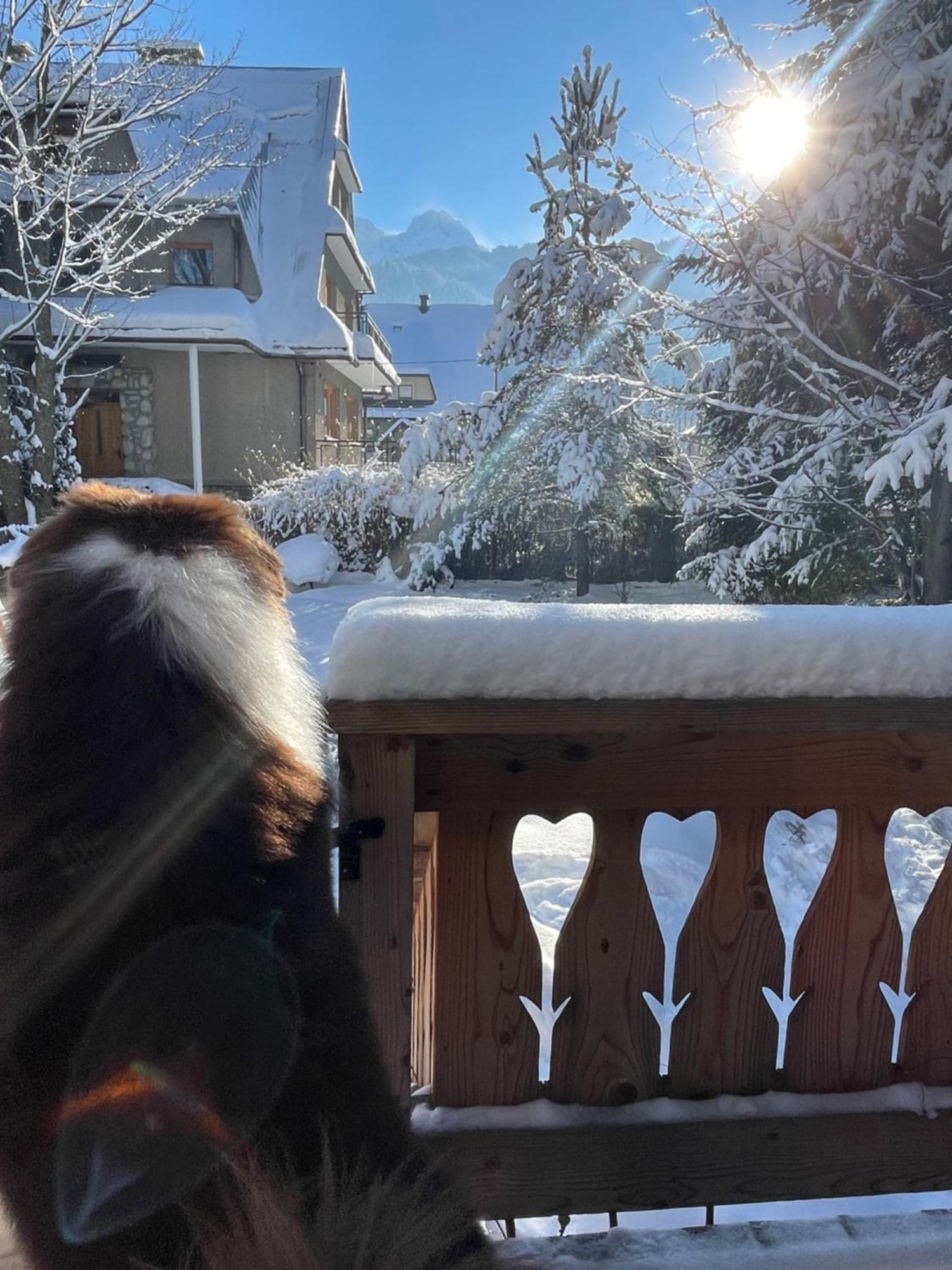 Domek Krzeptowskiego 18 Zakopane Zewnętrze zdjęcie