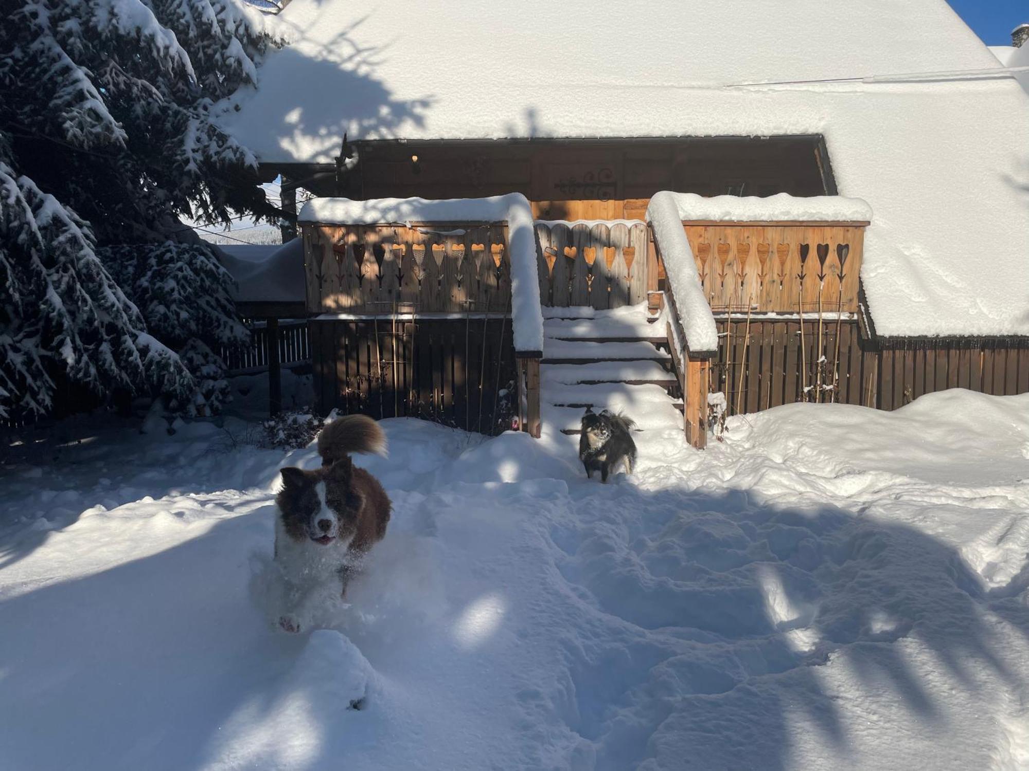 Domek Krzeptowskiego 18 Zakopane Zewnętrze zdjęcie